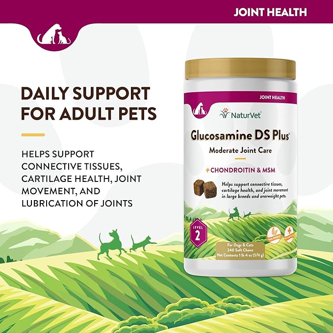 NaturVet – Glucosamine DS Plus - Level 2 Moderate Care – Supports Healthy Hip & Joint Function – Enhanced with Glucosamine, MSM & Chondroitin – for Dogs & Cats – 240 Soft Chews-Mewly Pet