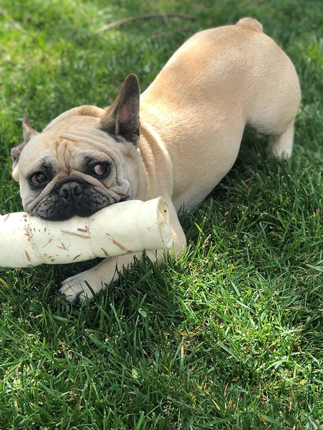 Redbarn Pet Products All-Natural Large Beef Cheek Rolls for Dogs, Uncoated - Single Ingredient Grain-Free Chew Treat Naturally Rich in Collagen - No Artificial Preservatives - Pack of 4-Mewly Pet