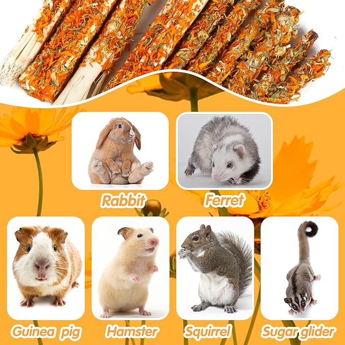 Apple Sticks for Rabbits, Natural Bunny Chew Toys Wood Treats Food for Small Animals,Hamsters, Chinchillas Squirrel Bunny Guinea Pigs Small Pet Apple Chew Sticks-Mewly Pet