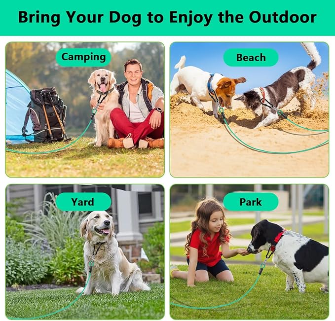 Dog Tie Out Cable 10FT-500Lbs,Heavy Duty Dog Leads&Tether for Yard with Swivel Hook,Small Large Dogs Leash Line for Outside,Rust Chew Proof Dogs Run Cable for Outdoor Camping (Green Cyan, 10FT)-Mewly Pet