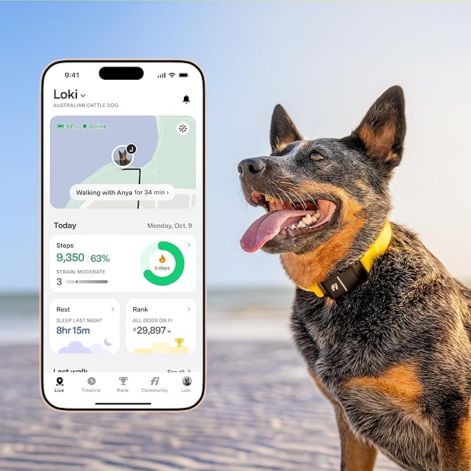 New Fi Series 3+ Smart Dog Tracker Collar – AI GPS for Dogs, Health & Behavior Monitor, Virtual Fence, Escape Alerts, Waterproof, Apple Watch Compatible 12Mo Membership Included-Mewly Pet