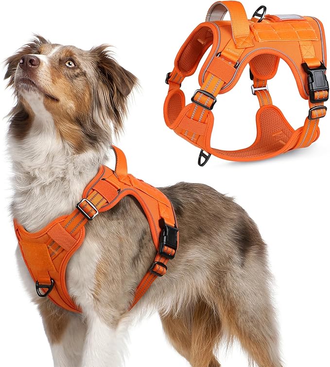 rabbitgoo Tactical Dog Harness Medium Sized Dog, No Pull Military Service Vest with Handle & Molle, Easy Control for Training Walking, Adjustable Reflective Straps, Orange, M-Mewly Pet