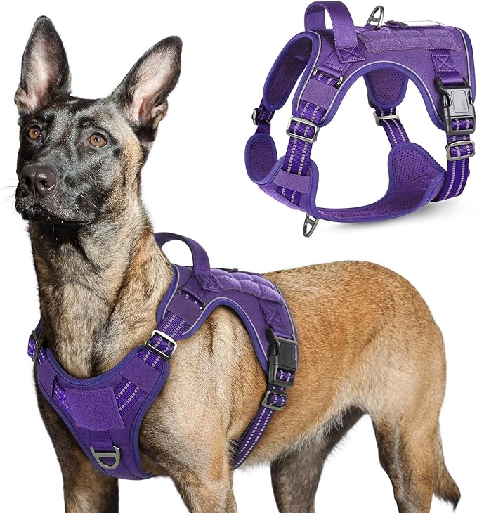 rabbitgoo Tactical Dog Harness for Large Dogs, No Pull Military Service Vest with Handle & Molle, Easy Control for Training Walking, Adjustable Reflective Straps, Purple, L-Mewly Pet