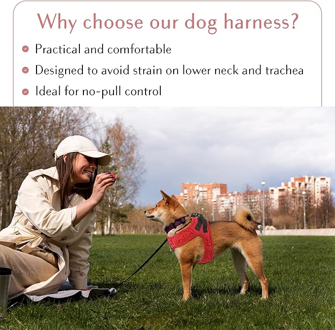 No Pull Dog Harness for Small, Medium & Large Dogs – Soft Padded, Adjustable Step-in Pet Vest with Leash Clips, Reflective Straps & Control Handle-Mewly Pet