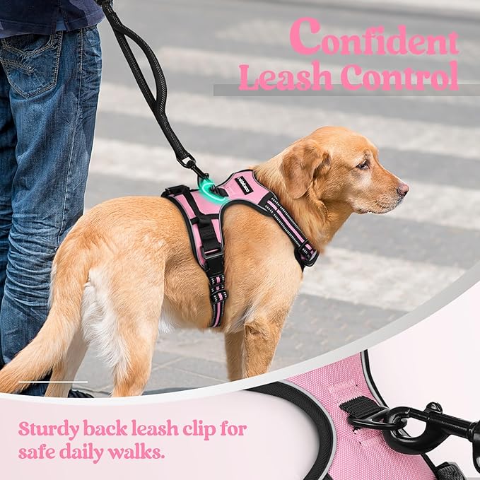 rabbitgoo Dog Harness No Pull with 2 Leash Clips, Adjustable Soft Padded, Reflective Oxford No Choke Pet Vest with Easy Control Handle for Large Dogs, Pink, XL-Mewly Pet