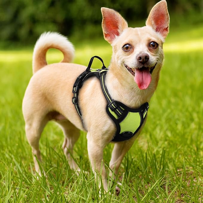 rabbitgoo Dog Harness No Pull with 2 Leash Clips, Adjustable Soft Padded, Reflective Oxford No Choke Pet Vest with Easy Control Handle for Puppy, Green, XS-Mewly Pet