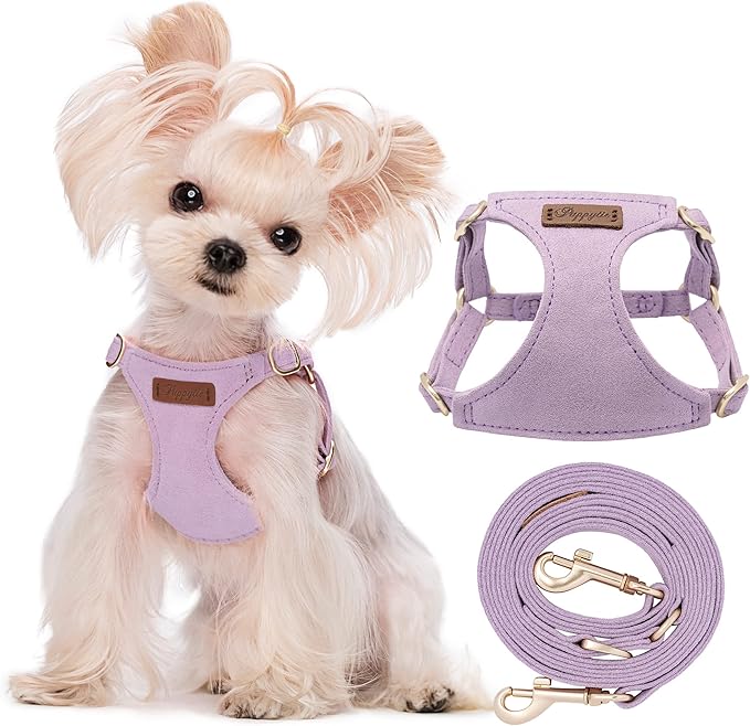 Puppytie No Pull xs Dog Harness with Multifunction Dog Leash,Soft Adjustable No Choke Escape Proof Pet Harness Vest,Light Purple,XS-Mewly Pet