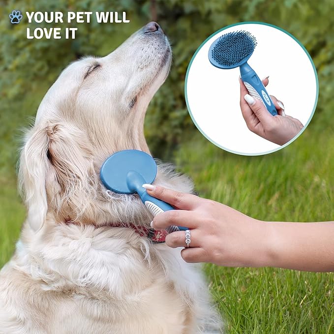 Round Bristle Pet Brush for Dogs and Cats - Soft Dog Brush for Grooming Short or Long Hair - Gentle Tool for Sensitive Skin Removes Dander, Dirt, and Detangles (Blue)-Mewly Pet