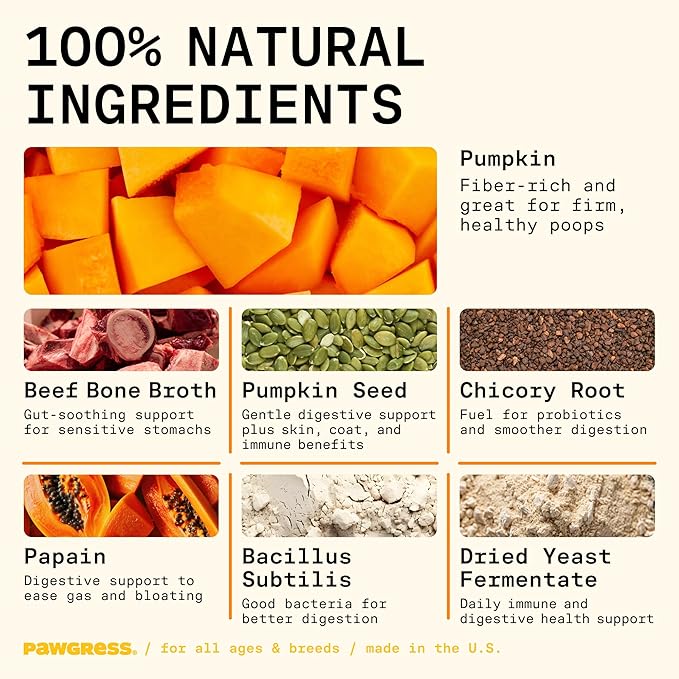 5-in-1 Dog Probiotic Powder – 100% Natural Gut Health Support with Prebiotics, Postbiotics & Enzymes – Crafted by Dog Nutritionist Kayla Kowalski, Made in USA – 30 Scoops-Mewly Pet