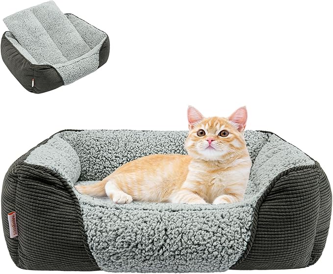 Miguel Washable Cat Beds for Indoor Cats with Removable Cushion, Easy to Wash Small Pet Sofa Bed with Side, Rectangle Bolster Kitten Bed Calming Cuddle Puppy Bed with Anti-Slip Bottom, Gray 20 Inch-Mewly Pet