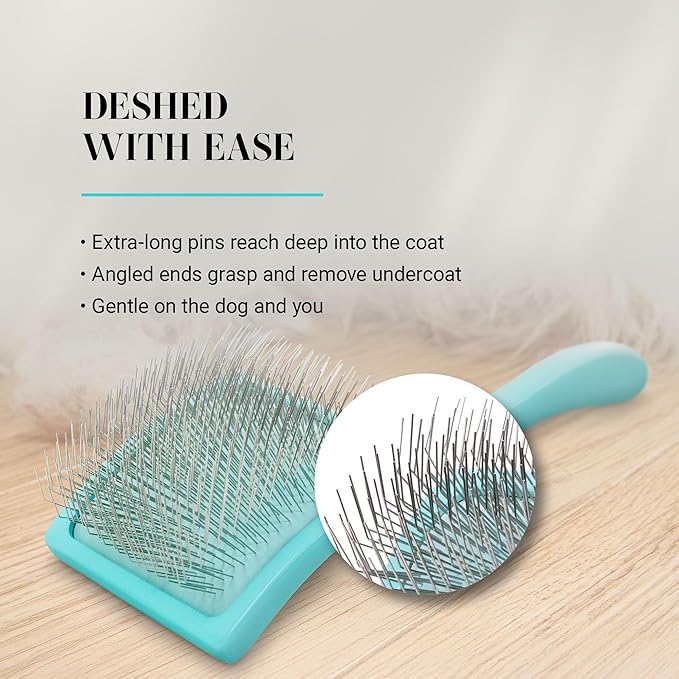 Chris Christensen Big G Dog Slicker Brush for Dogs (Goldendoodles, Labradoodles, Poodles), Groom Like a Professional, Fluff Detangle Style, Saves Time Energy, Teal, Large-Mewly Pet