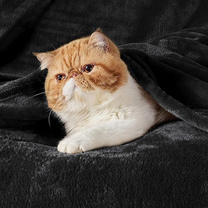 Bedsure GentleSoft Fleece Blankets Queen Size Black - Bed Blanket Soft Lightweight Plush Fuzzy Cozy Luxury Microfiber, 90x90 inches