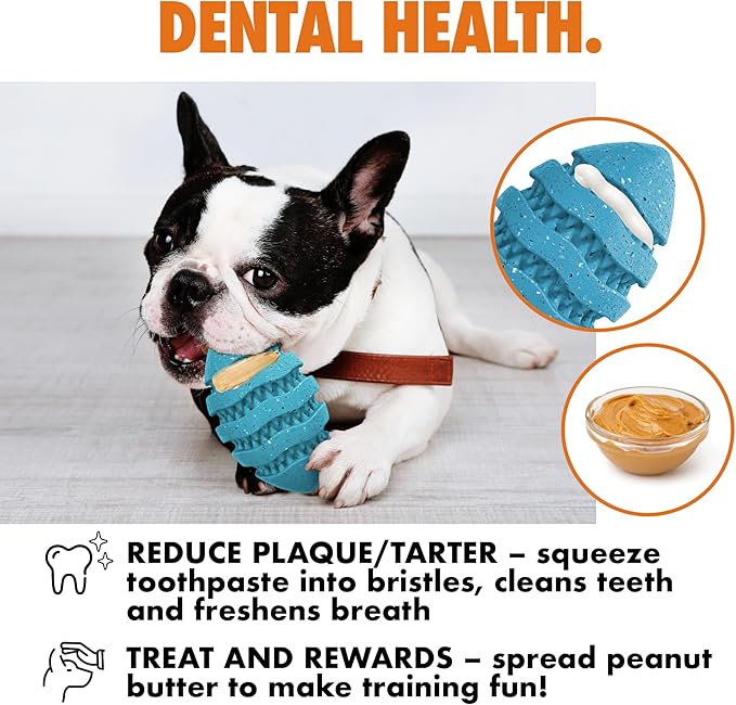 Max Fusion with Nike Grind, Arlee Spiro Football Treat Dispensing Dog Toy, Durable Dog Treat Toy, L-Mewly Pet