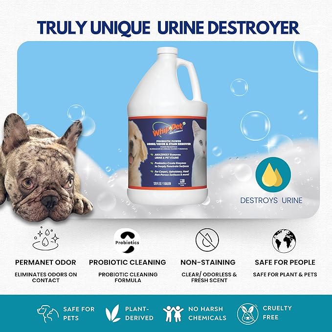Whip-Pet Pet Odor Eliminator and Stain Remover - Enzymatic Cleaner for Dog Urine and Carpet Odor Eliminator - Pet Odor Remover - 128 fl oz / 3.78L-Mewly Pet