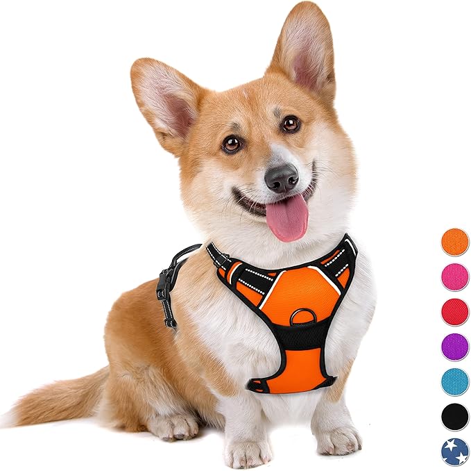 BARKBAY No Pull Dog Harness Large Step in Reflective Dog Harness with Front Clip and Easy Control Handle for Walking Training Running(Orange,M)-Mewly Pet