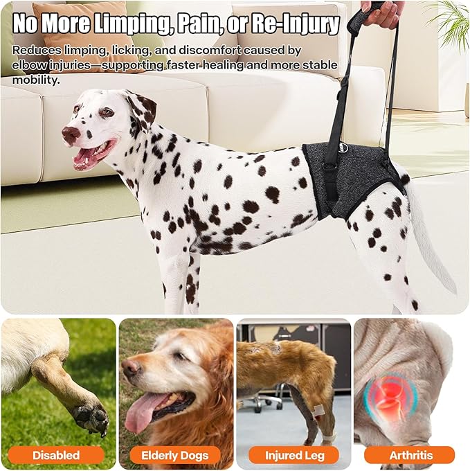 Dog Sling for Medium Large Dog Rear Leg, Lift Harness Provide Support with Muscle Atrophy and Joint Problems for Elderly Injured Arthritic Pet, Dog Weak Rear Legs Provides Rehabilitation Aid-Mewly Pet