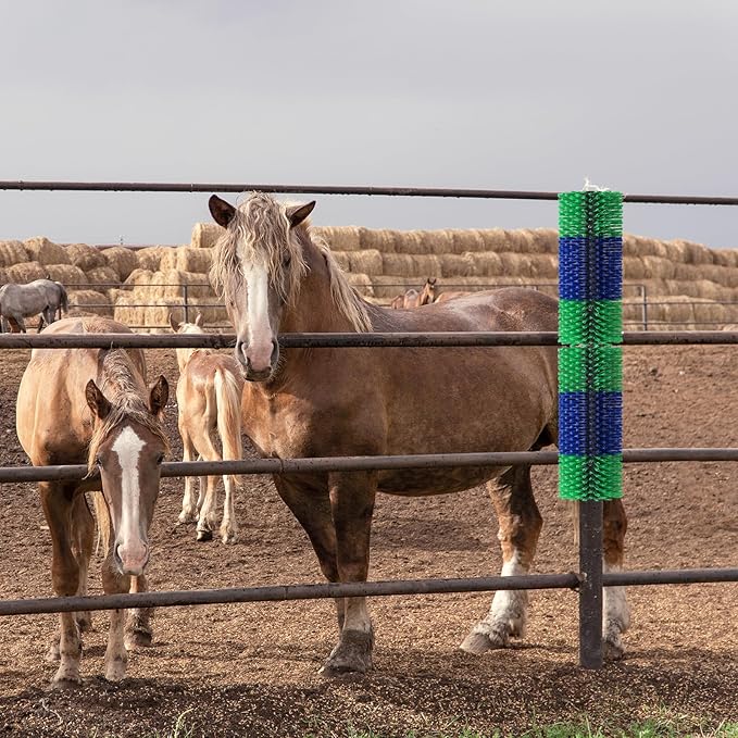 Livestock Scratching Brush, 17.5 x 7.8 Inch Goat Brushes for Grooming, Horse Brushes for Shedding, Livestock Brush with 4 Screws Great for Horse, Elk, Cattle, Pig, Sheep（Green）