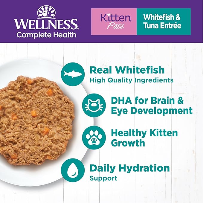 Wellness Complete Health Pate Kitten Wet Cat Food Canned Food, Natural, Protein-Rich, Grain Free, 3 Ounce Cans, 24 Pack, (Whitefish & Tuna)-Mewly Pet
