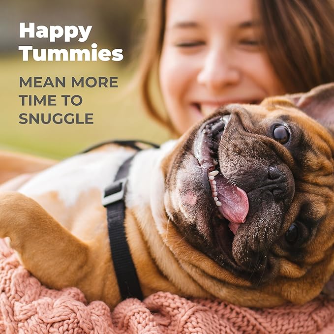 Vetnique Glandex Daily Probiotics for Dogs with Prebiotics to Support Gut Health with Fiber and Digestive Enzymes, Probiotic Chews or Powders (60ct Chews, Bacon Chews)-Mewly Pet