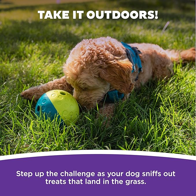 Outward Hound by Nina Ottosson Treat Tumble Interactive Puzzle Ball Dog Toy, Level 1 Beginner, Blue, Small (4.75" Diameter)-Mewly Pet