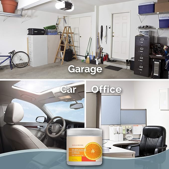 SMELLS BEGONE Air Freshener Odor Absorber Gel - 15 oz, Pack of 2 - Absorbs and Eliminates Odor in Pet Areas, Bathrooms, Cars, & Boats - Made with Essential Oils - Energizing Citrus Scent-Mewly Pet