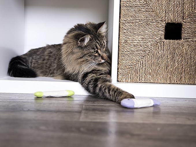 SmartyKat (3 Count) Fish Flop Crinkle Catnip Cat Toys - Multi Color, 3 Count-Mewly Pet