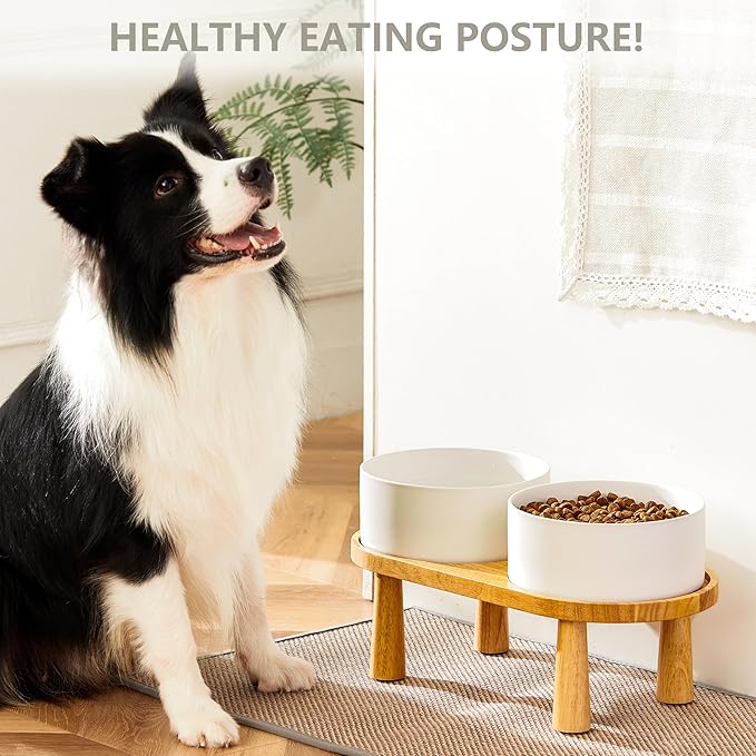 Ceramic Elevated Dog Bowls, Pet Food and Water Bowl Set for Large Dogs, 7.5 Cups Dog Bowls Raised with Wood Stand, 61OZ, White-Mewly Pet