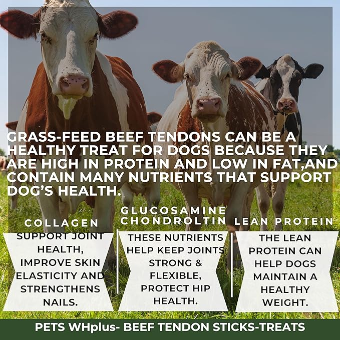 Beef Tendon Dog Treats, Single Ingredient, 100% Natural, Grass-Fed, Long-Lasting Rawhide-Free Chews, Collagen Protein, Dental & Joint Support, 4 oz, Safe & Grain-Free Snack-Mewly Pet