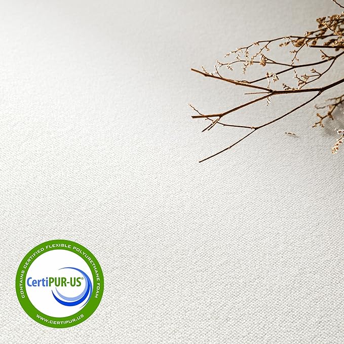Best Price Mattress 6 Inch Queen Short Mattress For RV Camper, Green Tea Memory Foam
