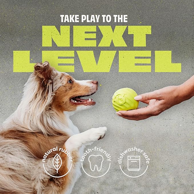 Benebone 2-Pack Rubber Ball-Mewly Pet