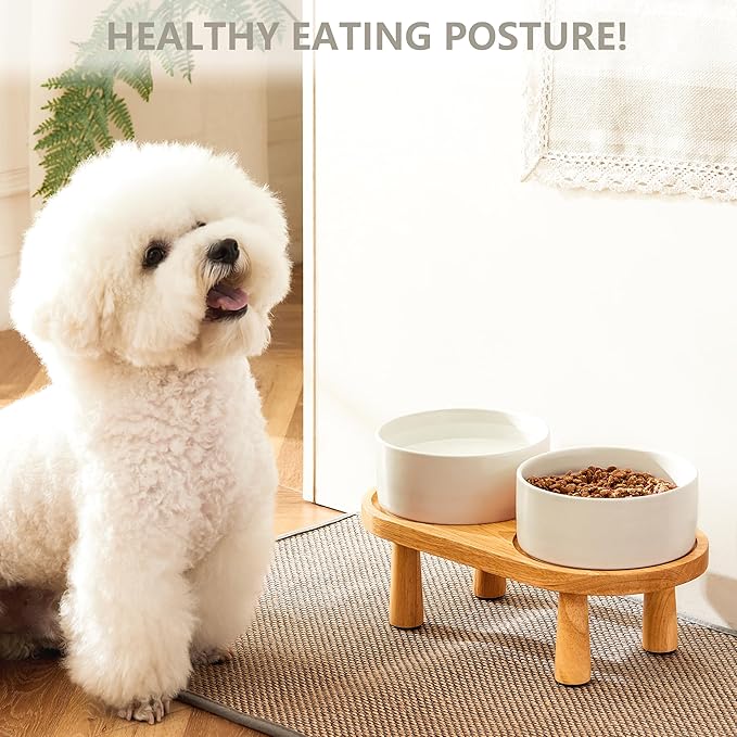 Ceramic Elevated Dog Bowls, Pet Food and Water Bowl Set for Medium and Small Dogs, 3.5 Cups Dog Bowls Raised with Wood Stand, 29OZ, White-Mewly Pet