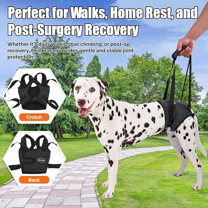 Dog Sling for Medium Large Dog Rear Leg, Lift Harness Provide Support with Muscle Atrophy and Joint Problems for Elderly Injured Arthritic Pet, Dog Weak Rear Legs Provides Rehabilitation Aid-Mewly Pet