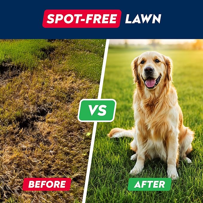 STRELLALAB Green Grass Dog Chews - Dog Pee Grass Helper - Supplement Urine Neutralizer for Grass Burn Spots - Grass Treatment for Pet Urine - Pee Lawn Repair Treats with Probiotics - Made in USA-Mewly Pet