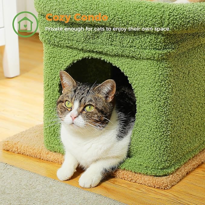 PEQULTI Cat Tree Cactus Cat Tower for Indoor Cats with Private Cozy Cat Condo, Natural Sisal Scratching Posts and Plush Pom-pom for Small Cats Green-Mewly Pet