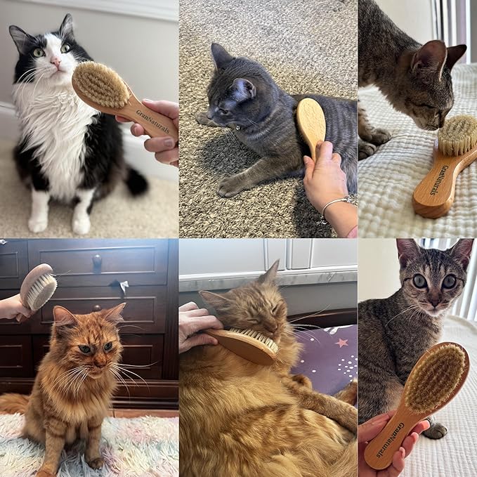 GranNaturals Boar Bristle Soft Cat Brush for Indoor, Outdoor, Short Haired Cats, Kittens, Small Dog, Rabbit, Furry Pets - Gentle Grooming on Sensitive Hair Coat & Tail with Durable Wooden Handle-Mewly Pet