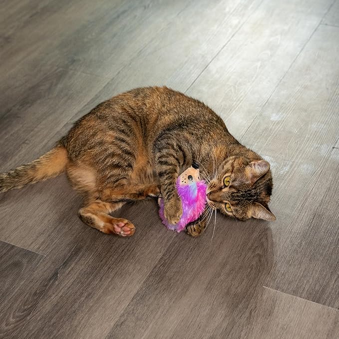 Catstages Catnip Plushies Hedgehog Multicolored Plush Catnip Cat Toy-Mewly Pet