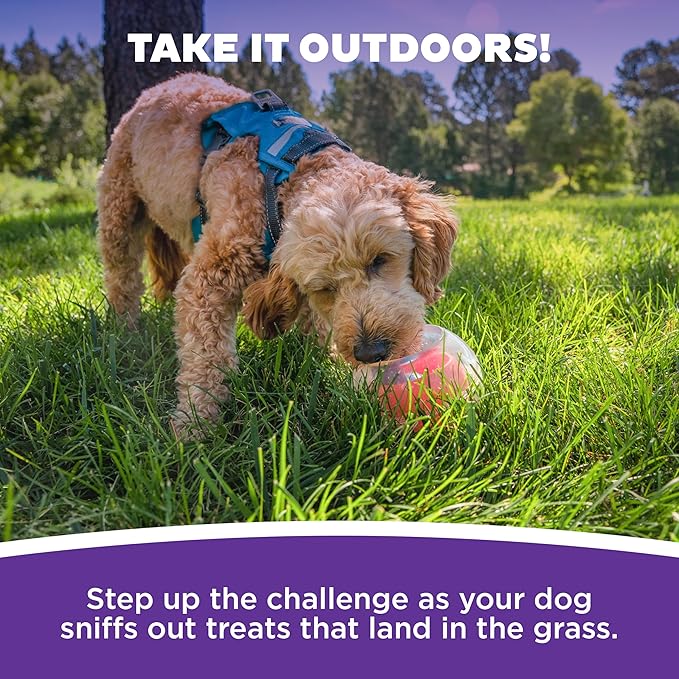 Outward Hound Nina Ottosson Topsy Treat Ball Dog Puzzle Interactive Treat Puzzle Dog Enrichment Dog Toy, Level 1 Beginner, Orange-Mewly Pet