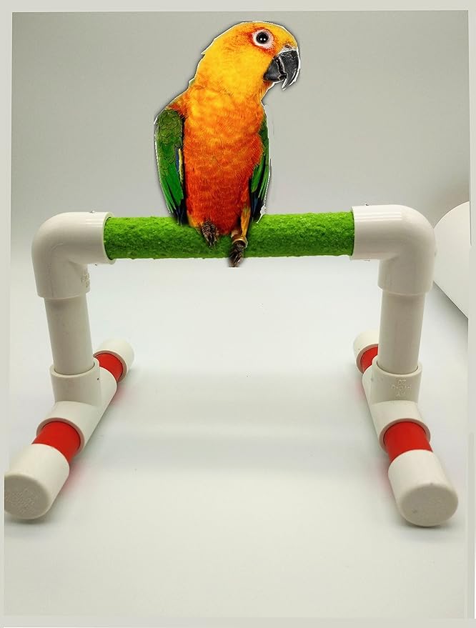 Hypeety Small Bird Parrot Stand Perch Table Top Stand Playground Grind Perch Swing Training Playstand Exercise Chew Toys for Budgies Parakeet Cockatiel Conure Finch (Perch, L)-Mewly Pet