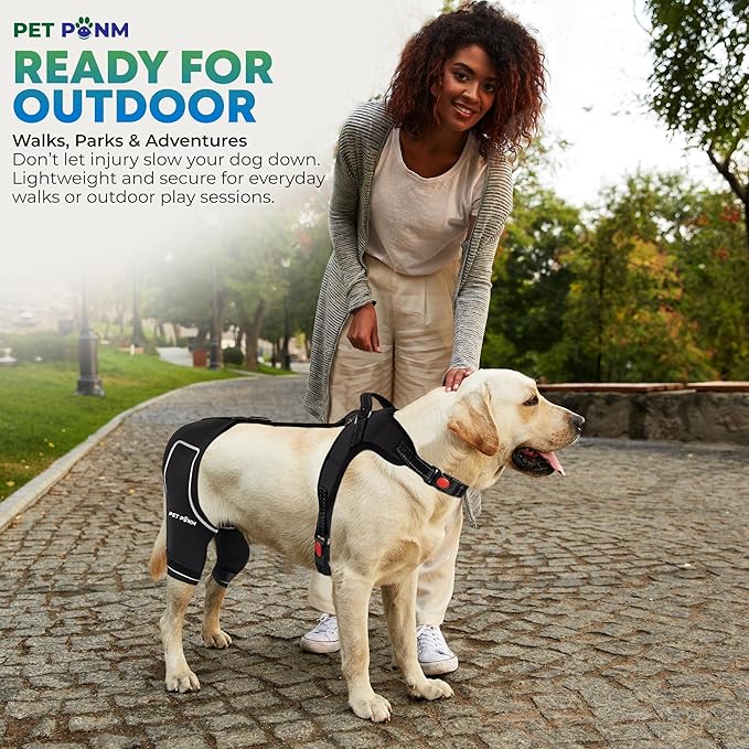 Comfortable Dog Knee Brace for Both Hind Legs with Harness - for ACL Tear, Luxating Patellae, Osteoarthritis & Instability - for Recovery & Injury Prevention in Active/Aging Dogs - (Small)-Mewly Pet