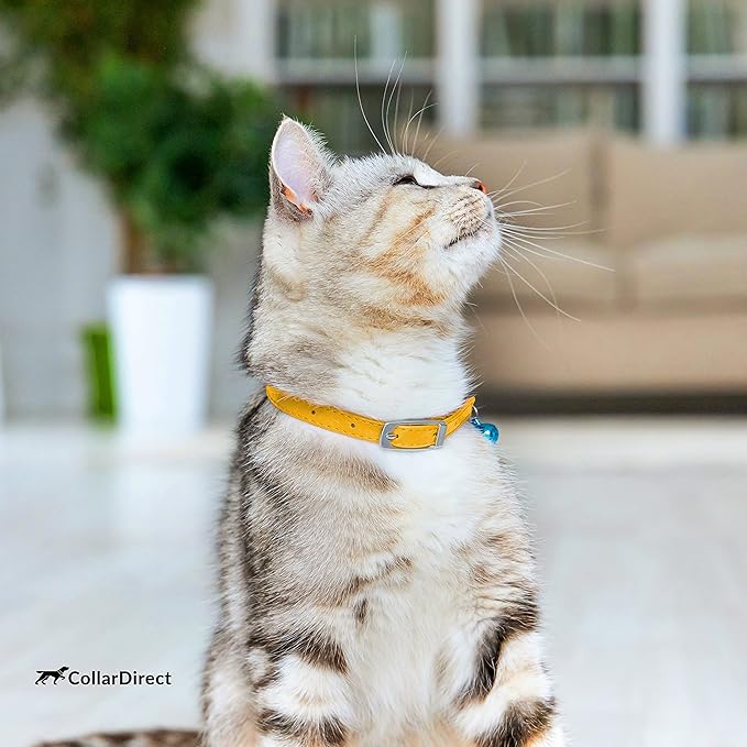 CollarDirect Leather Cat Collar with Removable Bell – Safety Kitten Collar with Elastic Strap (Yellow, 15 - 18 cm)-Mewly Pet