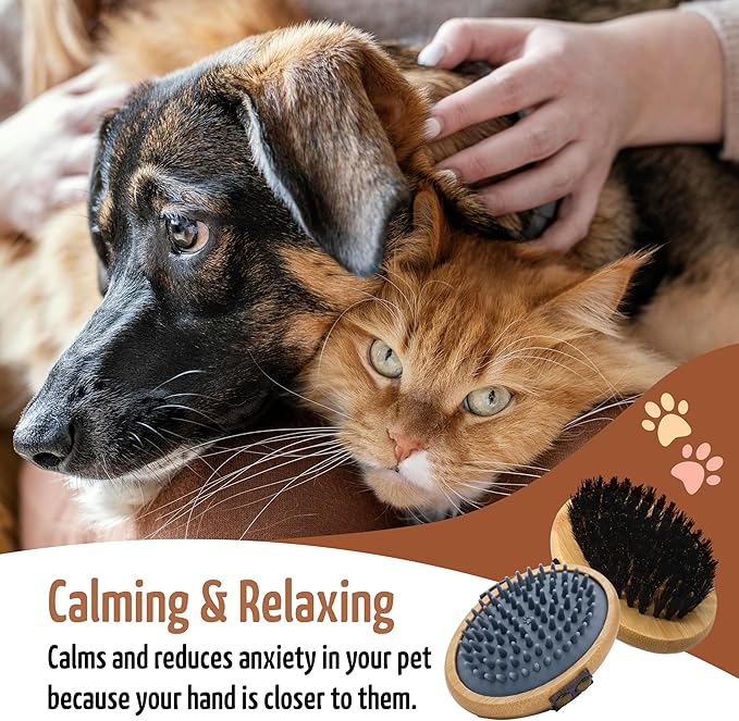 The Buddy System Pet Close Brush, Soft Touch Oval Palm Brush - Bamboo Massage Handheld with Soft Boar Bristles and Elastic Band for Dogs and Cats (2-pack, 1 Brush + 1 Rubber)-Mewly Pet