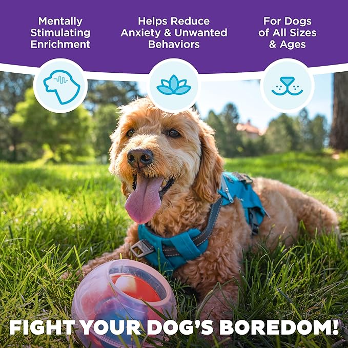 Outward Hound Nina Ottosson Topsy Treat Ball Dog Puzzle Interactive Treat Puzzle Dog Enrichment Dog Toy, Level 1 Beginner, Orange-Mewly Pet