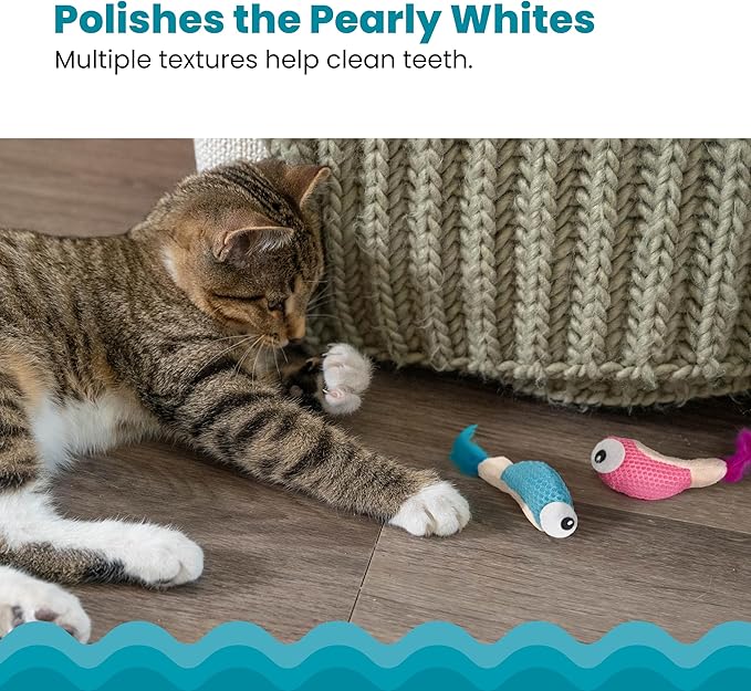 Catstages Catstages Dental Shrimpies Cat Toys, 2-pack – Interactive Catnip Dental Chew Toy to Help Clean Teeth, Fun for Play and Chewing, Multicolored-Mewly Pet