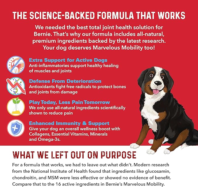 Bernie's Marvelous Mobility - Daily Total Joint Support for Dogs - 90 Soft Chews - Maintain & Rebuild Mobility, Supports Joint Tissue Health-Mewly Pet