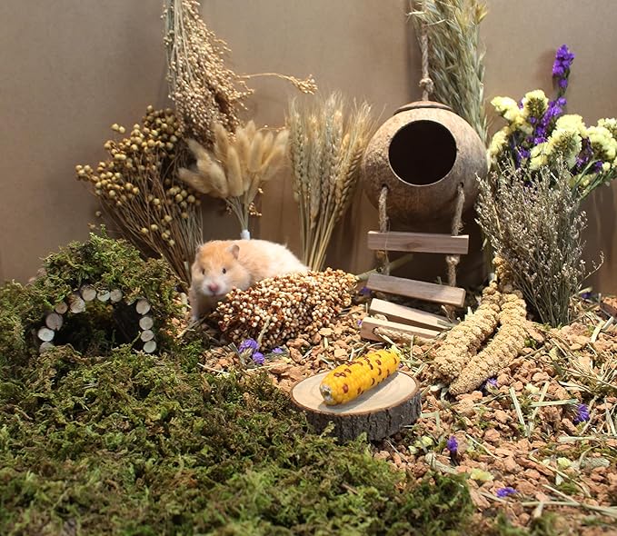 Natural Hamster Bedding - Flowers, Herbs, Sprays, Treat Cereal Grain for Cage Habitat Enclosure Decor - Hamster Chews for Dwarf Syrian Gerbils, Mice, Rat Forage - Pet Accessories-Mewly Pet