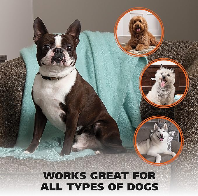 WAHL Pet Nail Clipper for Cutting Dog, Cat, & Animal Claws with Razor Sharp Stainless Steel Blades & Protective Safety Guard Locks for Safe Claw Care – Model 858448-Mewly Pet