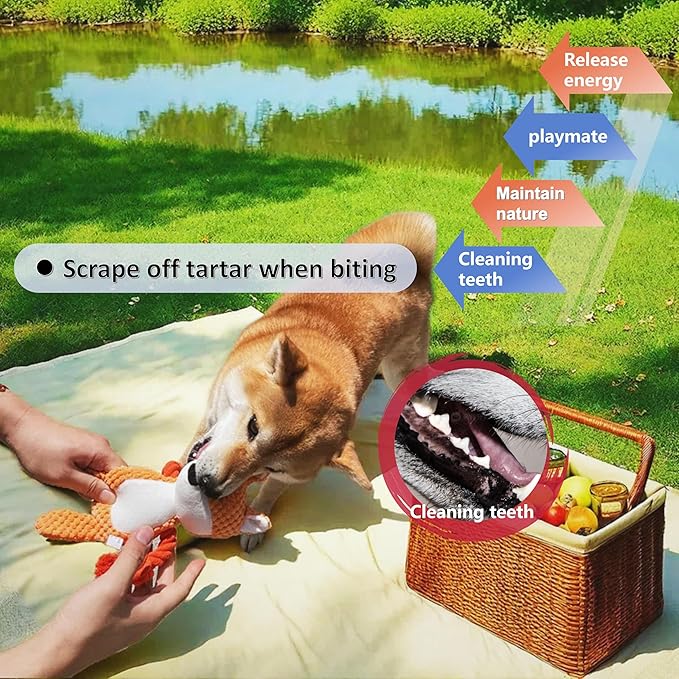 Nana Petit Fox Squeaky Dog Toys for Small & Medium Dogs – Plush Chew Toy, Interactive Puppy Teething Toys for Aggressive Chewers, Cute Stuffed Animal for Play, Training & Indoor Fun-Mewly Pet