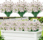Lnoicy 24 Pcs Artificial Flowers for Outdoor,Plastic Flowers Decoration, UV Resistant Faux Flowers Shrubs, Artificial Plants for Indoor Outside Garden Home Wedding Farmhouse(White)
