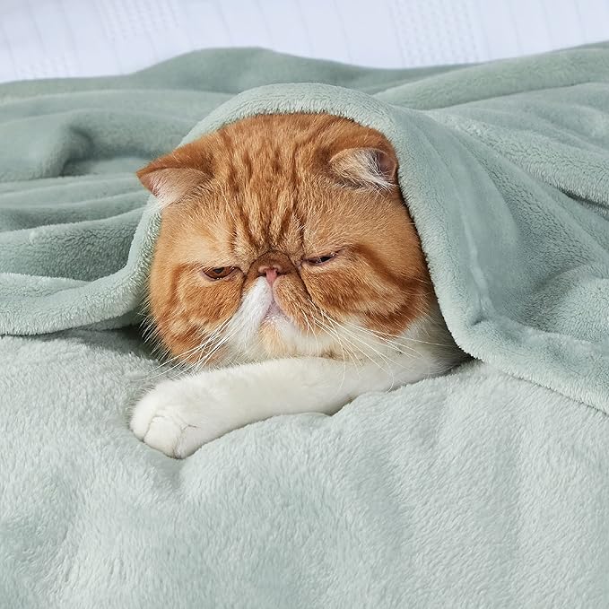Bedsure GentleSoft Fleece Throw XL Blanket Sage Green - 300GSM Soft Lightweight Plush Cozy Blankets for Bed, Sofa, Couch, Travel, Camping, 50x70 inches