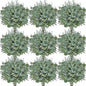 Serwalin 300 pcs Artificial Mixed Eucalyptus Leaves Stems Bulk, 4 Kinds Silver Dollar Eucalyptus Leaves Picks,Faux Greenery Stems Sprays for DIY Bouquets Floral Arrangement Home Decor